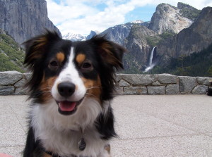 Matilda - Yosemite 2010